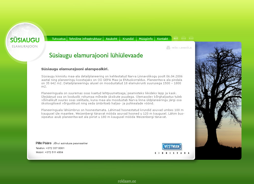 Vestman Kinnisvara Süsiaugu elamurajooni kodulehe kujundus
