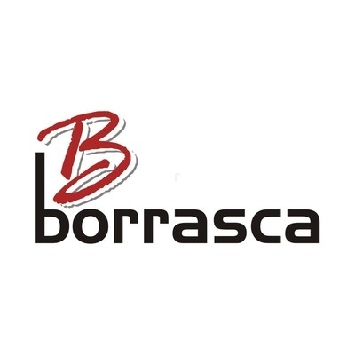 Borrasca logo