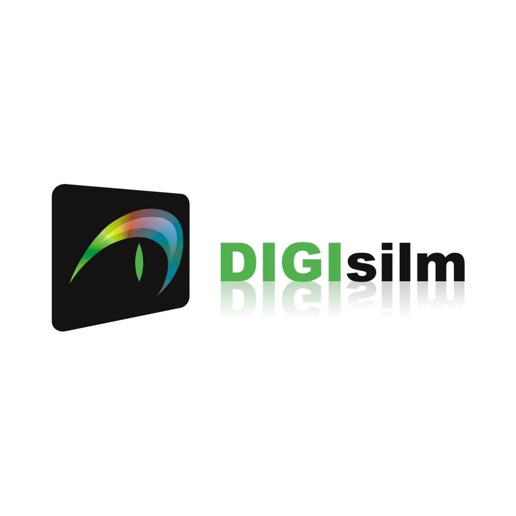 DIGI silm logo