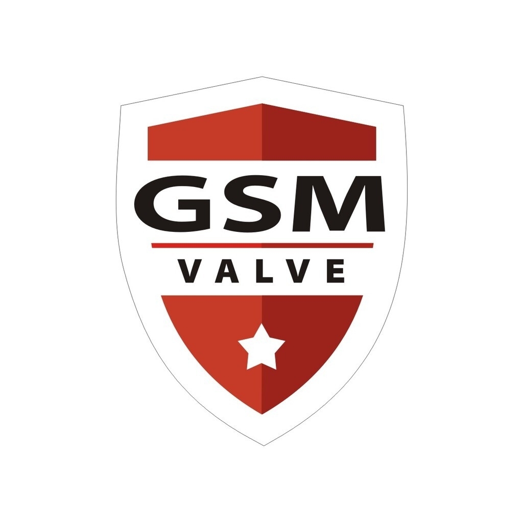 GSM valve logo 