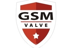 GSM valve logo 