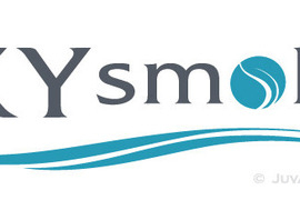 Sky smoke logo