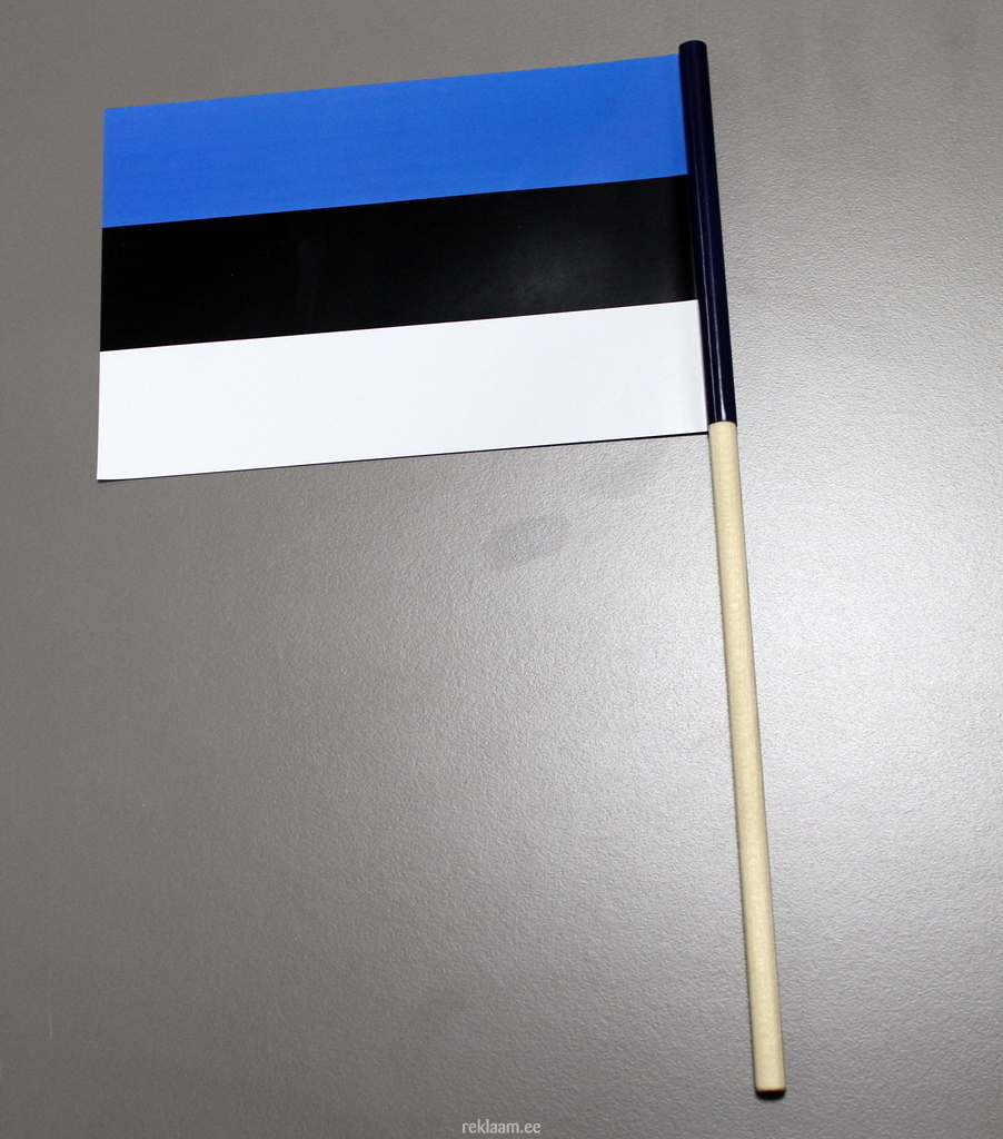 Eesti Lipp - käsilipp