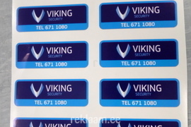 Viking kleebised