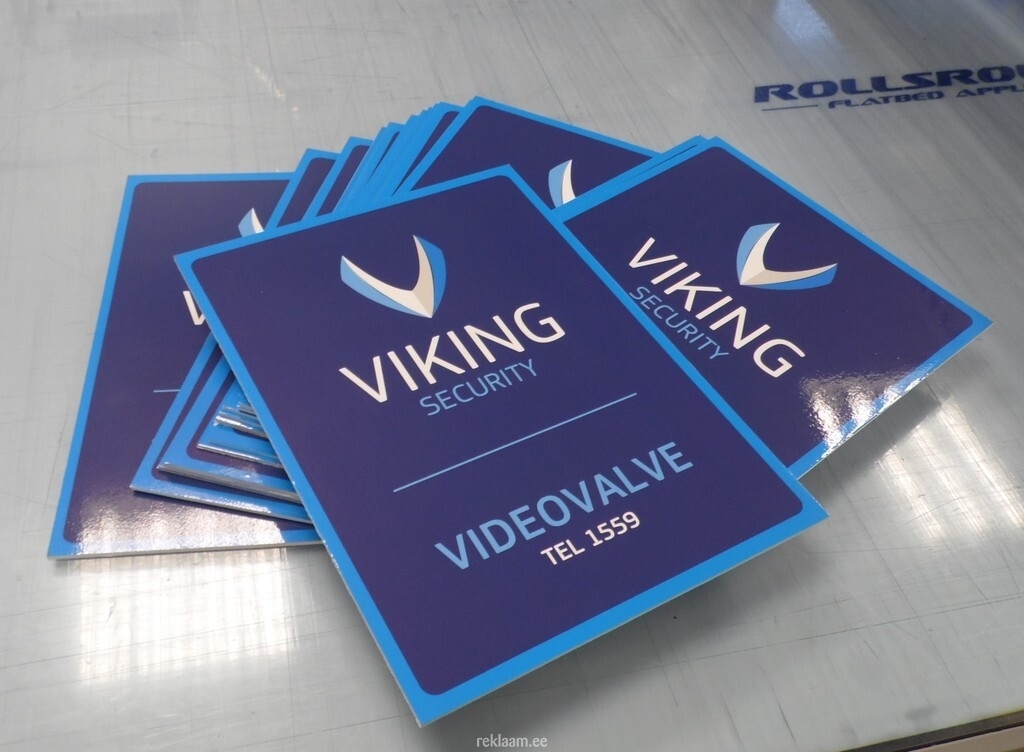 Viking Security videovalve silt