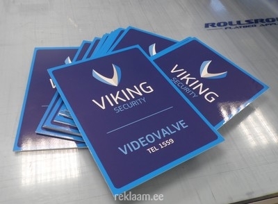 Viking Security videovalve silt
