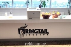 Ringtail Studios ruumiline logo