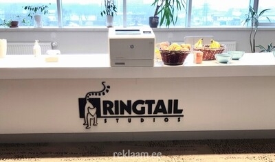 Ringtail Studios ruumiline logo